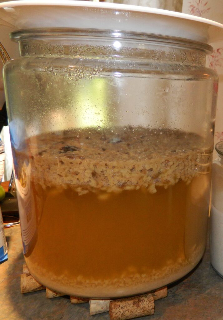 Fermented Bread Beverage — Kvass. Part 1